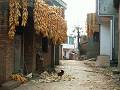 gal/Foret_pierres/_thb_PICT1858.jpg
