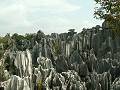 gal/Foret_pierres/_thb_PICT1872.jpg