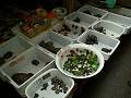 gal/Kunming/_thb_PICT1850.jpg