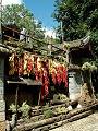 gal/Lijiang/_thb_PICT2194.jpg