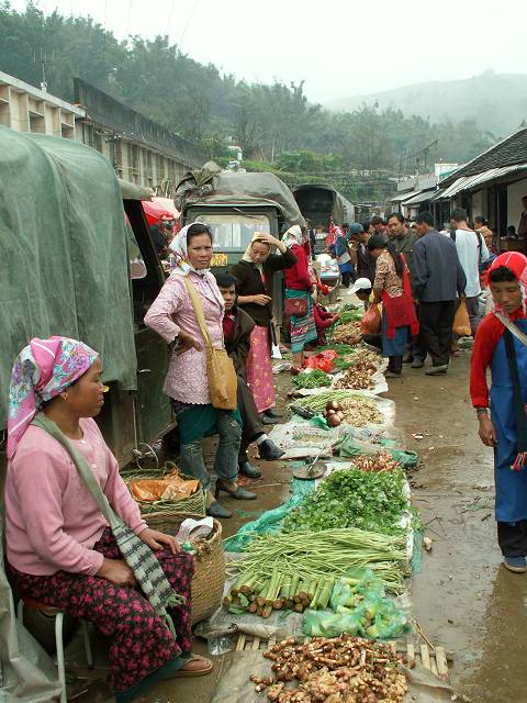 gal/Xishuangbanna/PICT1979.jpg