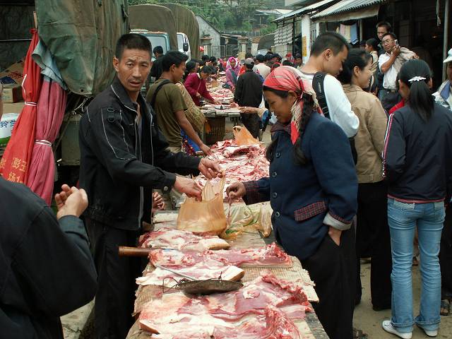 gal/Xishuangbanna/PICT1982.jpg