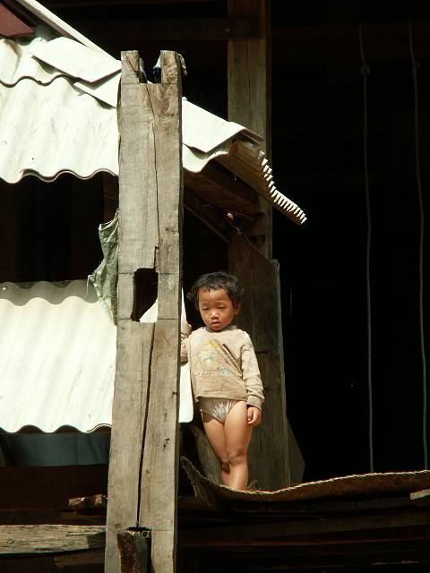 gal/Xishuangbanna/PICT2020.jpg