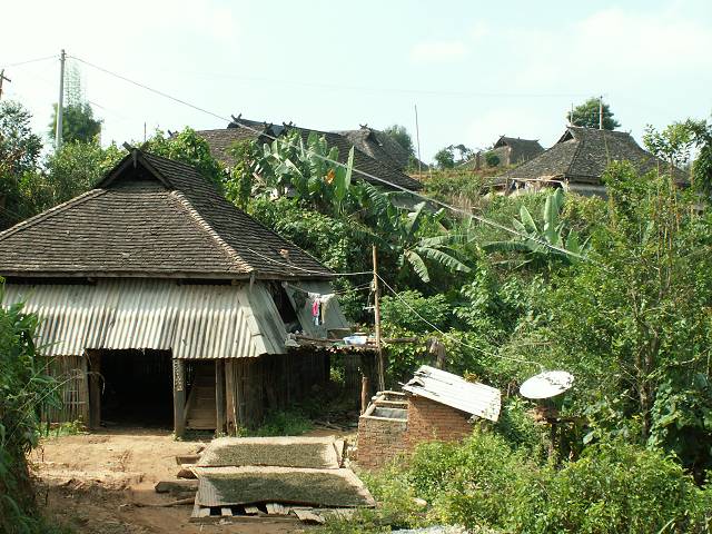 gal/Xishuangbanna/PICT2022.jpg