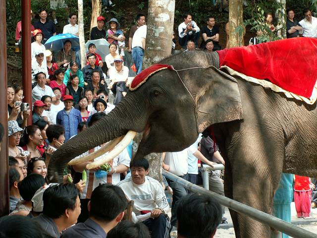 gal/Xishuangbanna/PICT2074.jpg