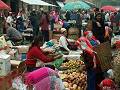 gal/Xishuangbanna/_thb_PICT1977.jpg