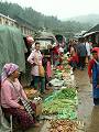 gal/Xishuangbanna/_thb_PICT1979.jpg