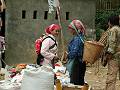 gal/Xishuangbanna/_thb_PICT1984.jpg