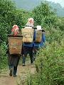 gal/Xishuangbanna/_thb_PICT1994.jpg