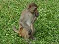 gal/Xishuangbanna/_thb_PICT2062.jpg