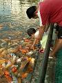 gal/Xishuangbanna/_thb_PICT2079.jpg