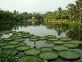 gal/Xishuangbanna/_thb_PICT2080.jpg