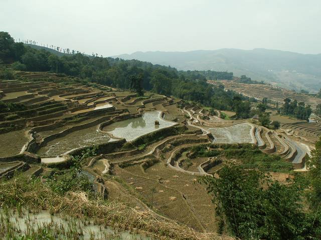 gal/Yuanyuang/PICT1890.jpg