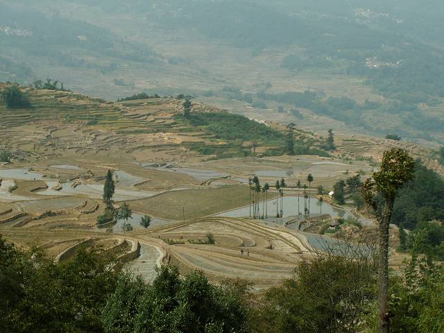 gal/Yuanyuang/PICT1891.jpg