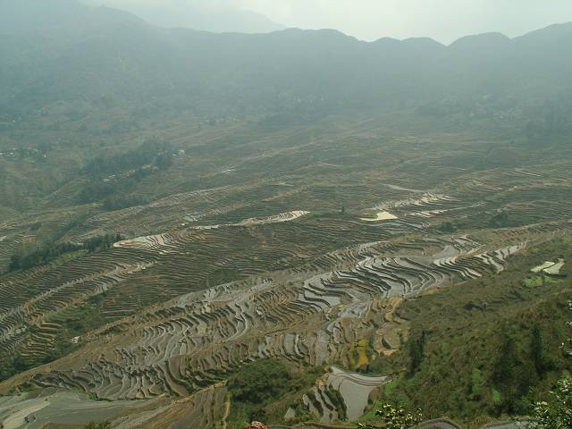gal/Yuanyuang/PICT1895.jpg